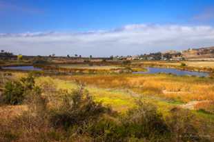 Eastern San Elijo Lagoon-0015.jpg